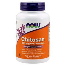 NOW FOODS Chitosan - Chitozan 500 mg + Chrom 100 mcg (120 kaps.)