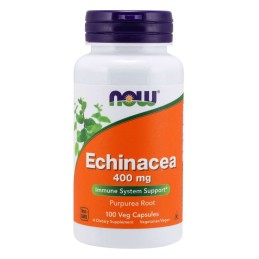 NOW FOODS Echinacea - Jeżówka Purpurowa (100 kaps.)