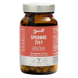 PANASEUS Sprawne Żyły (50 kaps.)