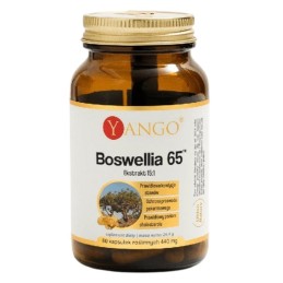 YANGO Boswellia 65 (60 kaps.)