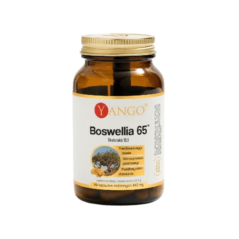 YANGO Boswellia 65 (60 kaps.)