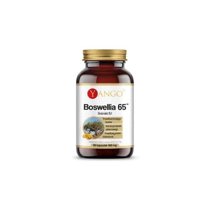 YANGO Boswellia 65 (90 kaps.)