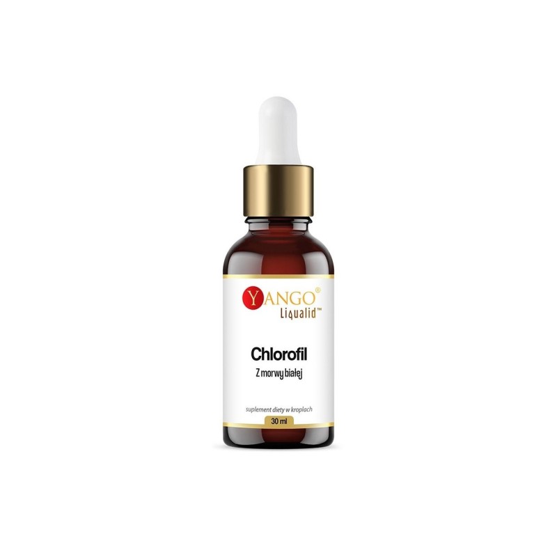 YANGO Chlorofil z morwy białej w kroplach (30 ml)