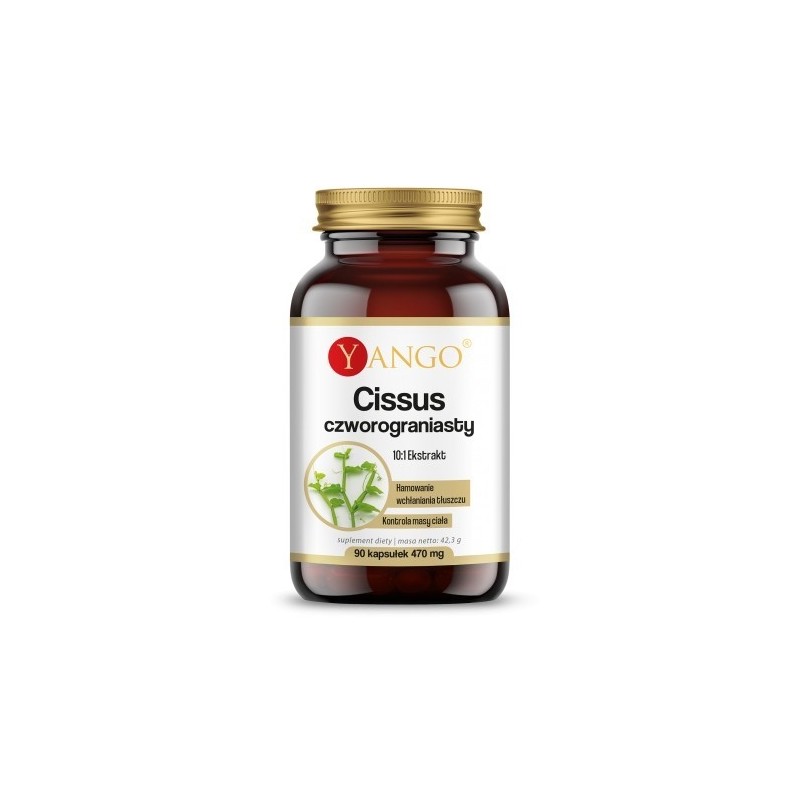 YANGO Cissus Czworograniasty - ekstrakt 10:1 (90 kaps.)