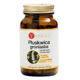 YANGO Pluskwica Groniasta (90 kaps.)