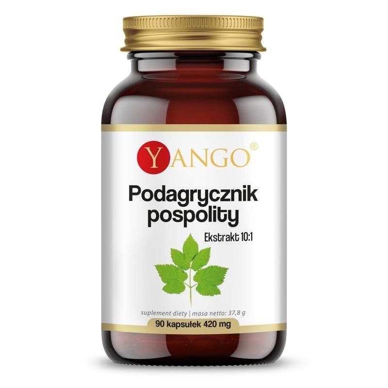 YANGO Podagrycznik pospolity (90 kaps.)