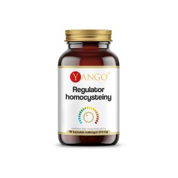 YANGO Regulator homocysteiny (90 kaps.)