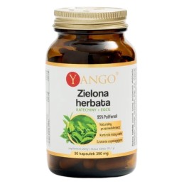 YANGO Zielona herbata - 95% polifenoli - Katechiny + EGCG (90 kaps.)