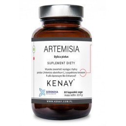 KENAY Artemisia Bylica piołun (60 kaps.)