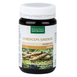 KRAUTERHAUS SANCT BERNHARD Cordyceps ekstrakt z grzyba - Cordyceps sinensis (90 kaps.)