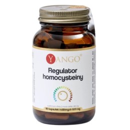 YANGO Regulator homocysteiny (90 kaps.)