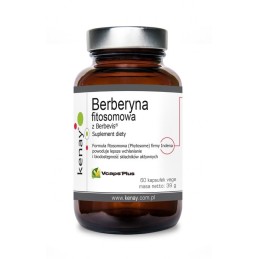 KENAY Berberyna fitosomowa z Berbevis (60 kaps.)