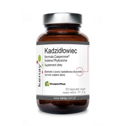 KENAY Kadzidłowiec Casperome Indena Phytosome - ekstrakt (60 kaps.)