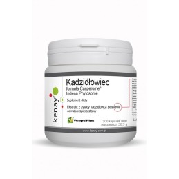 KENAY Kadzidłowiec Casperome Indena Phytosome (300 kaps.)