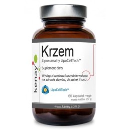 KENAY Krzem liposomalny LipoCellTech (60 kaps.)
